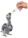 Syringe Feeder 12ml