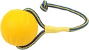 Yellow Training Ball