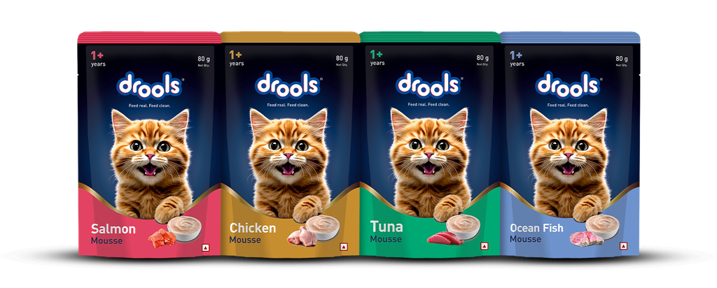 Drools Cat Mousse 80g