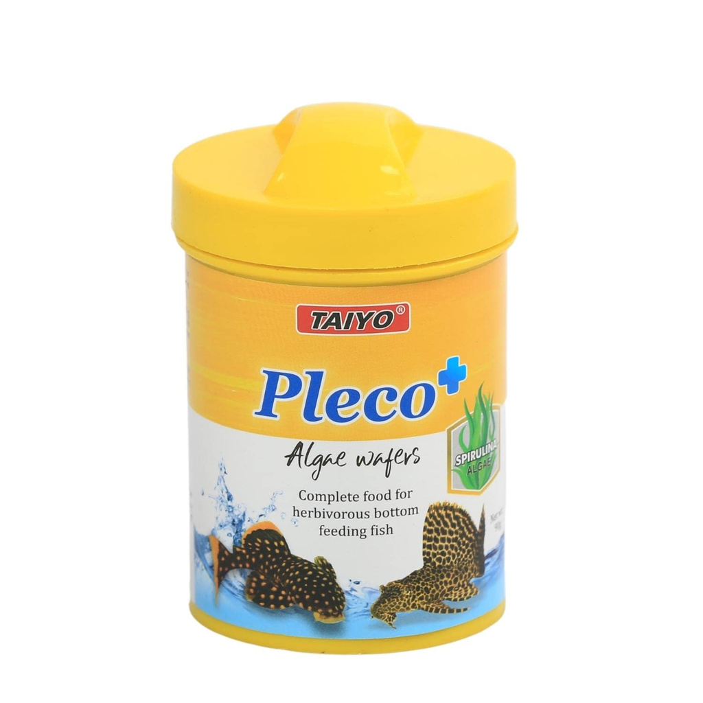 Taiyo Pleco + 90g