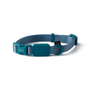 Zooghy Dog Collar - Light blue - Glows in the dark