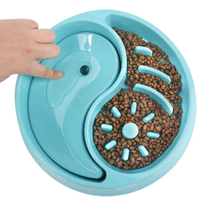 2 In 1 Anti Gulping Bowl