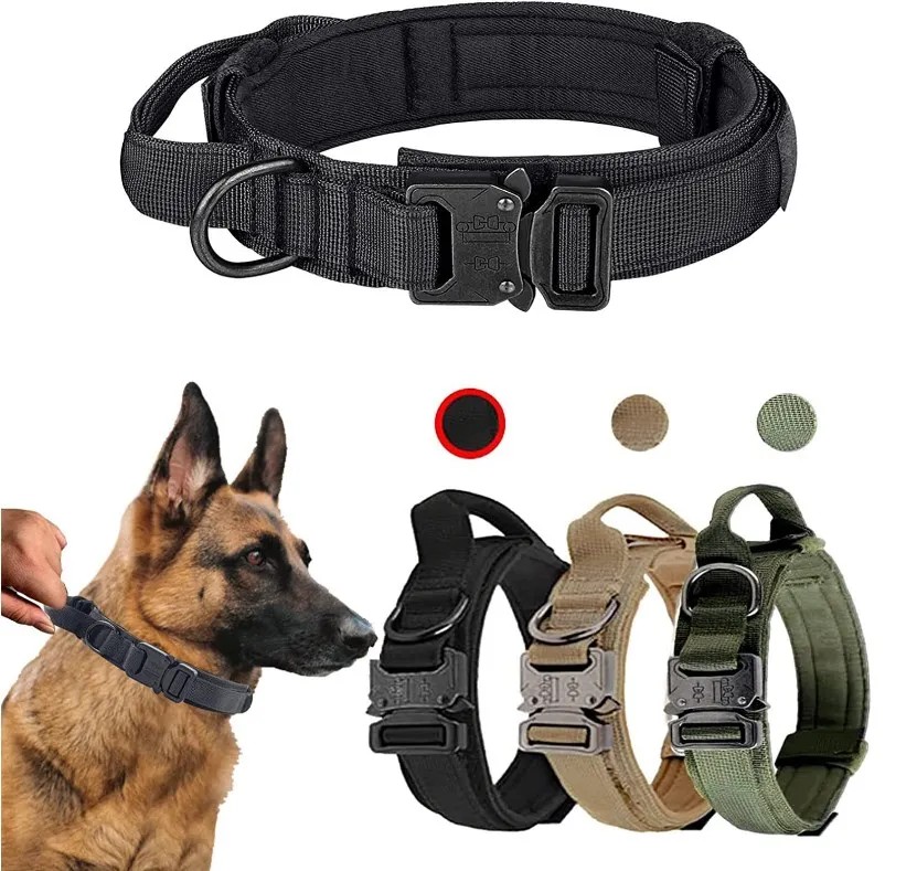 Army Dog Collar With Handle