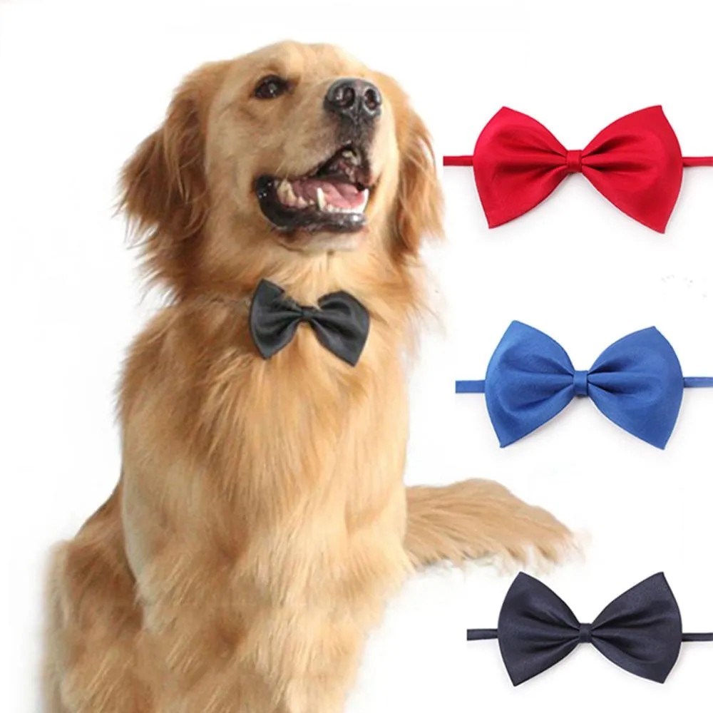 Bow Tie