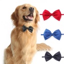 Bow Tie