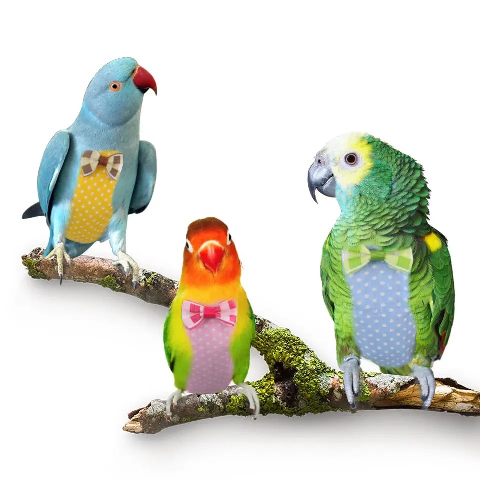 Clothe Diaper For Bird