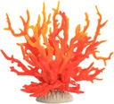 Coral Decoration