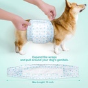 Diaper For Male Dog XL