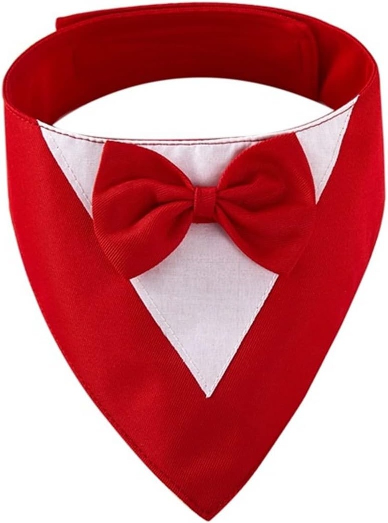 Elegant Neck Bow Tie