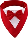 Elegant Neck Bow Tie