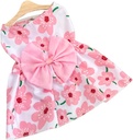 Floral Princess Bow Dress