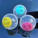 Hamster Ball