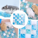 Ice Pad For Rodents