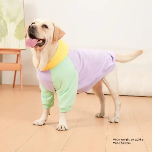 Lavender Sweatshirt