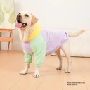 Lavender Sweatshirt