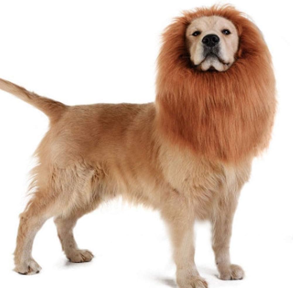 Lion Mane Costume