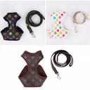 Luxury Fashion Harness & Leash Set