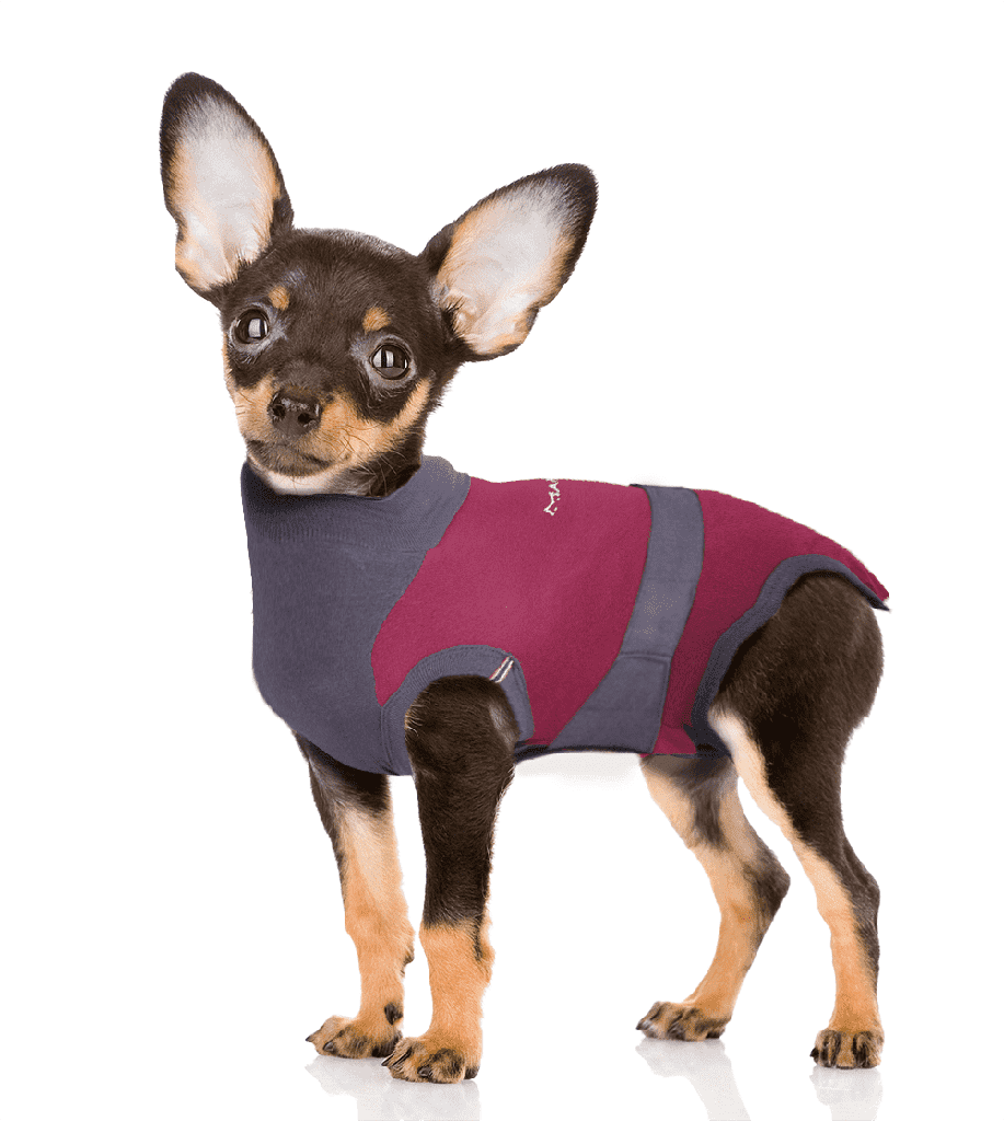 MAXX DOGS Medical Pet Care Clothing