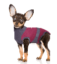 MAXX DOGS Medical Pet Care Clothing
