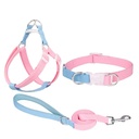 Pastel Collar