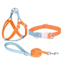 Pastel Harness