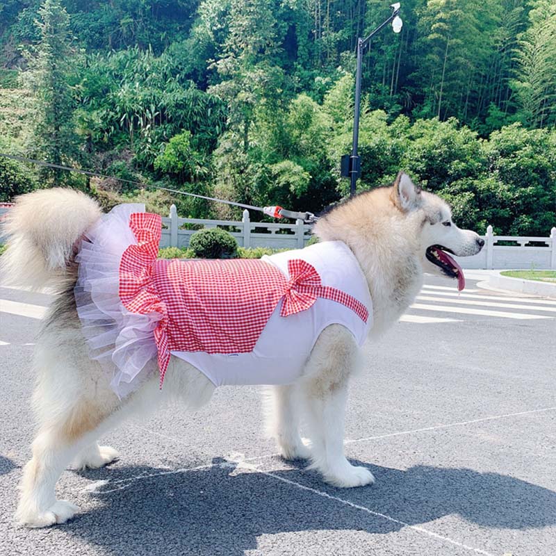 Princess Tutu Dress