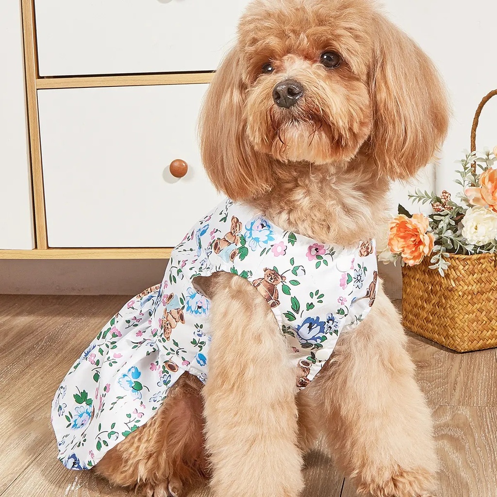 Printed Summer Dress