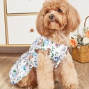 Printed Summer Dress