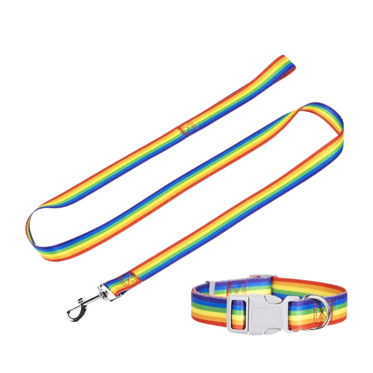 Rainbow Collar And Leash