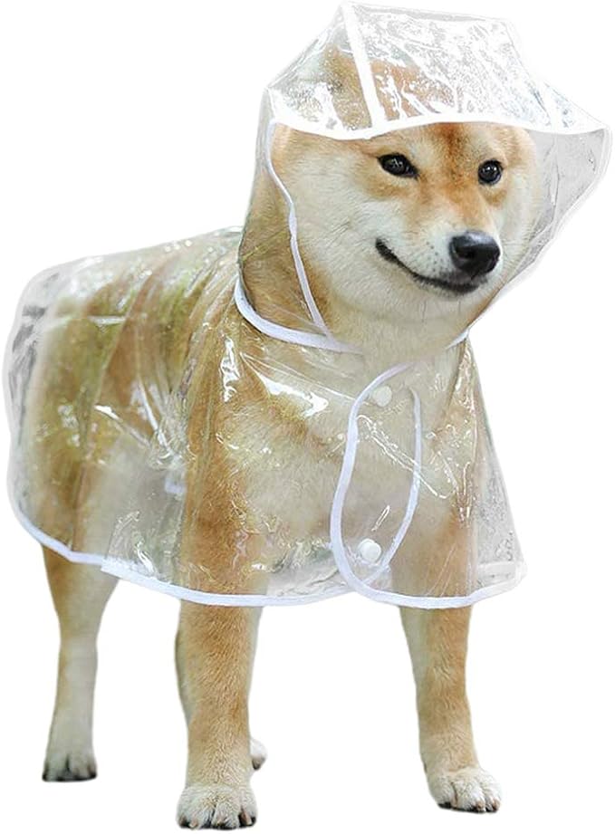 Raincoat