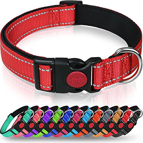 Reflective Dog Collar