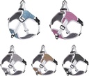 Reflective Stripes No Pull Harness